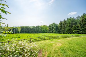 Garden- click for photo gallery